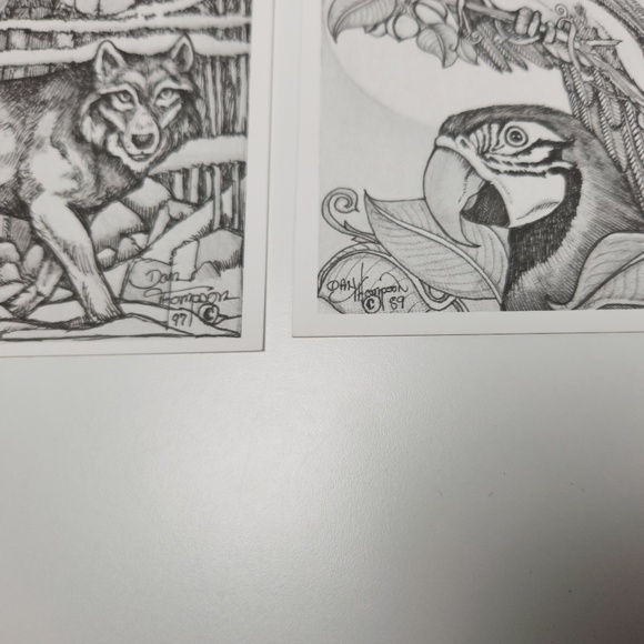 VTG Dan Thompson Fine Art Adult Coloring Book POSTCARDS Fantasy Dragon Fairy - Picture 6 of 8